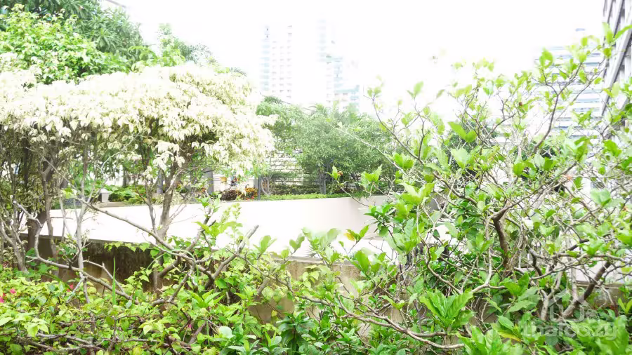 Grand Park View Asoke photo 6