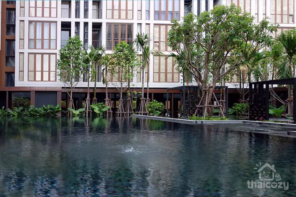 Hasu Haus photo 6