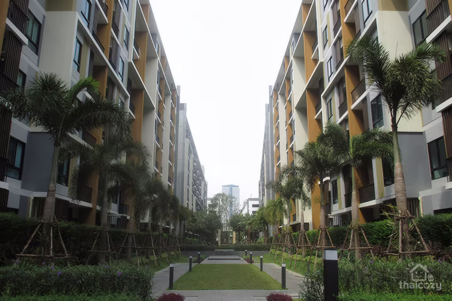 Icondo Sukhumvit 105 photo 4