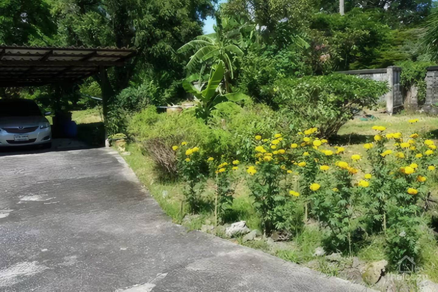 M4511 Premium Estate – Prime Development Land in Rangsit photo 2