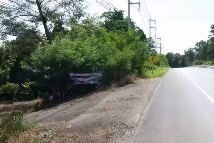 Land for Sale: 38-3-4 Rai with Teak House and Mature Trees
