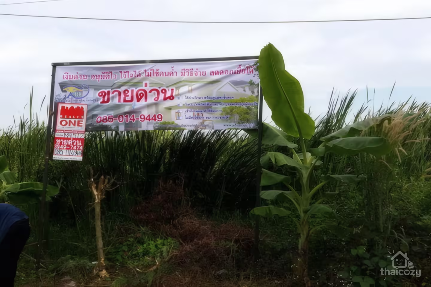 Land for Sale in Nong Chok 0-1-50 Rai (150 Sq. Wah) photo 2