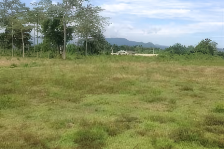 20 Rai Land for Sale in Chiang Rai