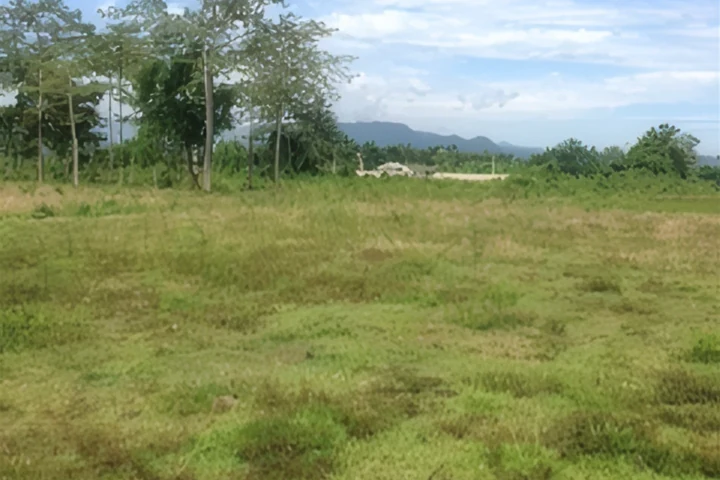 20 Rai Land for Sale in Chiang Rai