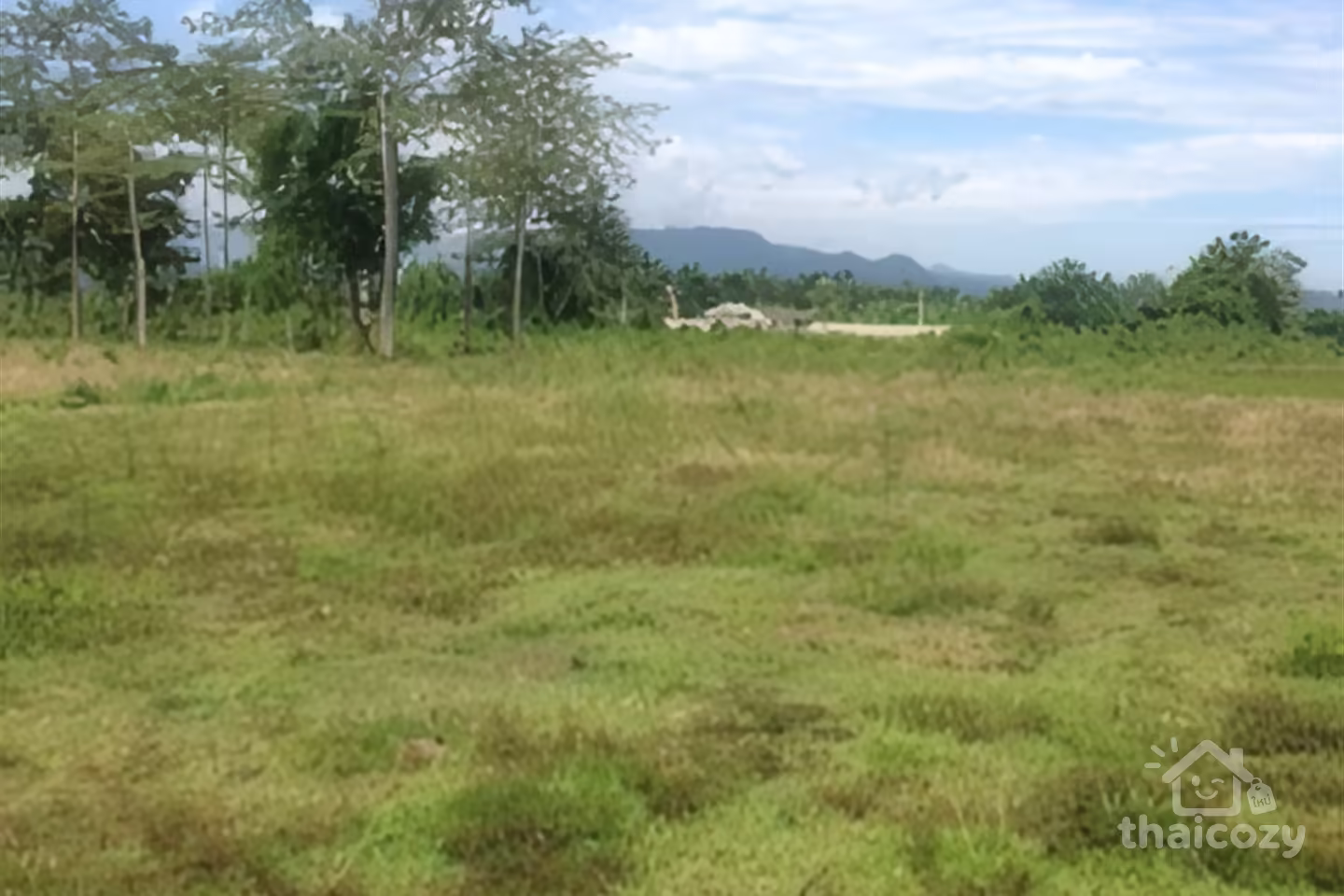 20 Rai Land for Sale in Chiang Rai photo 2
