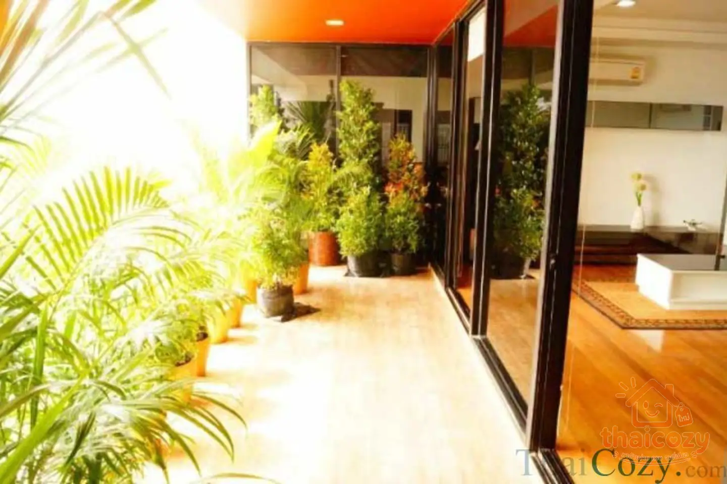 Apartment for Rent in Polo Park, Wireless Road photo 2